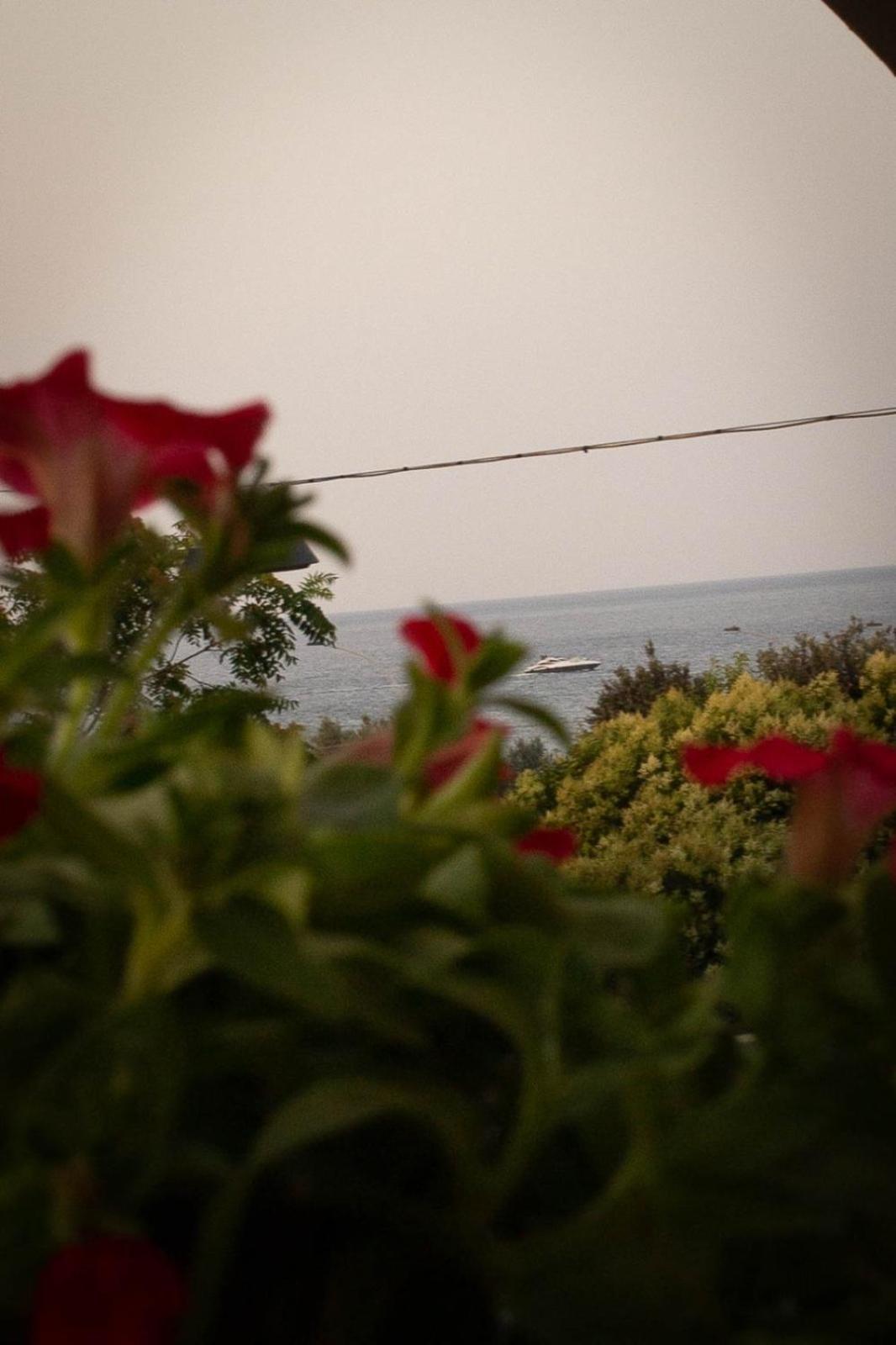La Casa Di Mest Pepp Monopoli Bagian luar foto